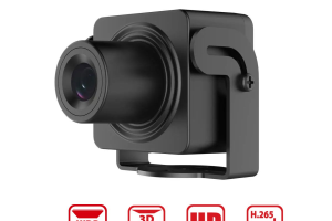 Camera IP ngụy trang giấu kín Hikvision DS-2CD2D25G1/M-D/NF