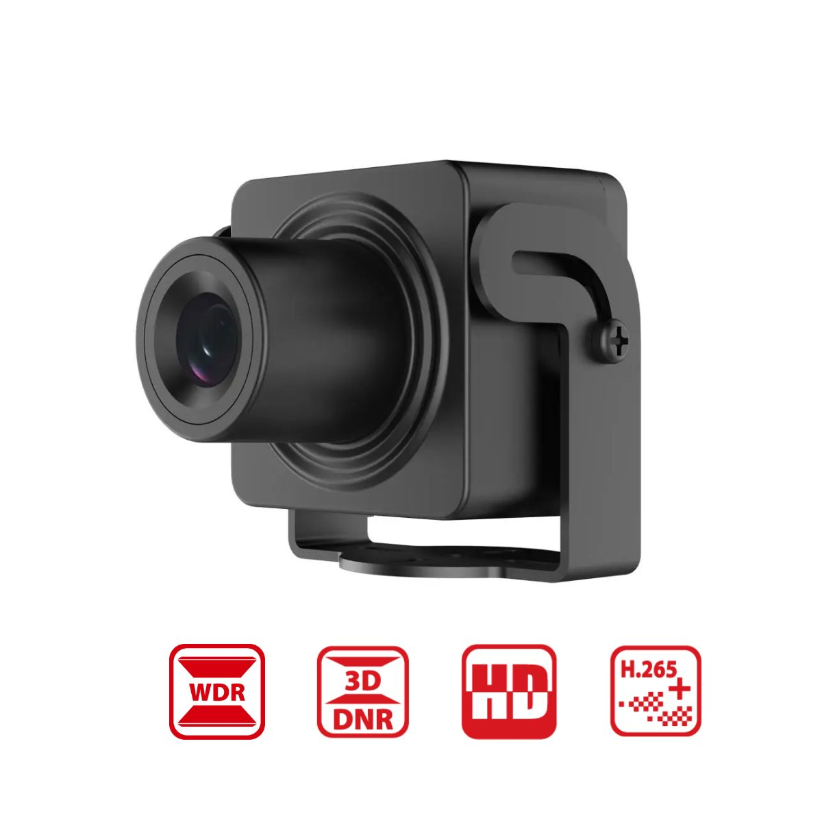 Camera IP ngụy trang giấu kín Hikvision DS-2CD2D25G1/M-D/NF